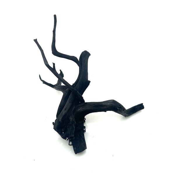 Garnelenmarkt Schwarze Moorwurzel klein xs #6