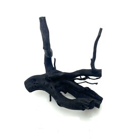 Garnelenmarkt Schwarze Moorwurzel klein xs #5