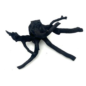 Garnelenmarkt Schwarze Moorwurzel klein xs #2