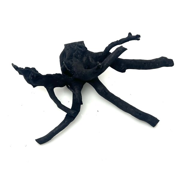 Garnelenmarkt Schwarze Moorwurzel klein xs #2