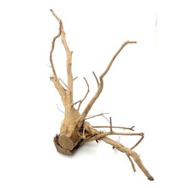 Garnelenmarkt Rote Moorwurzel #17  (32x63x21 cm)