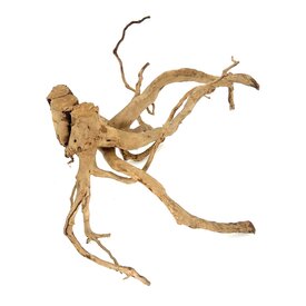 Garnelenmarkt Rote Moorwurzel #18 (55x38x24 cm)