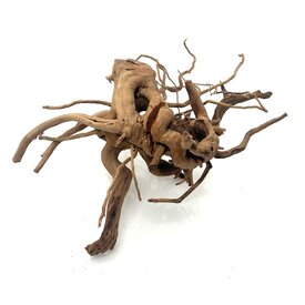 Garnelenmarkt Rote Moorwurzel #20 (38x32x25 cm)