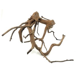 Garnelenmarkt Rote Moorwurzel #21 (47x32x40 cm)