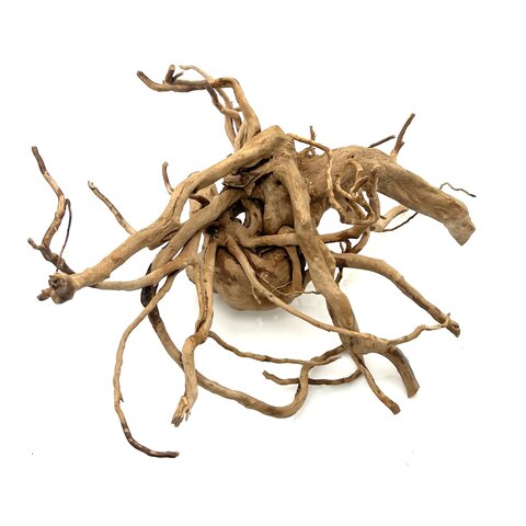 Rote Moorwurzel #22 (53x35x25 cm)