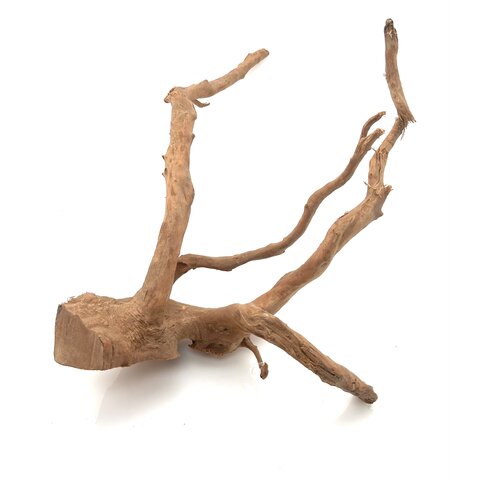 Rote Moorwurzel #25 (56x36x21 cm)