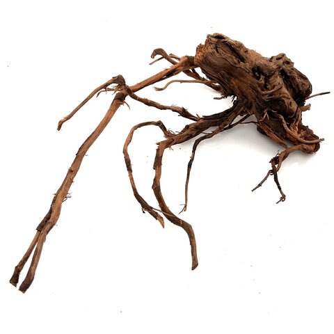 Curl Wood #6 (43x29x15 cm)