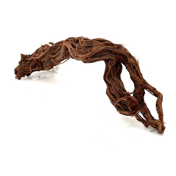 Garnelenmarkt Curl Wood #8