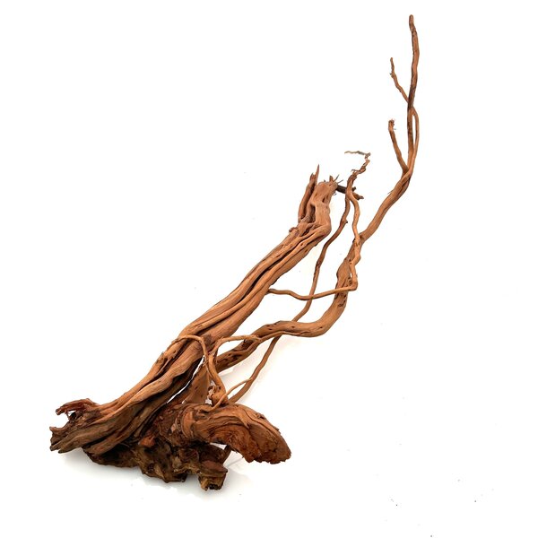 Garnelenmarkt Curl Wood #9