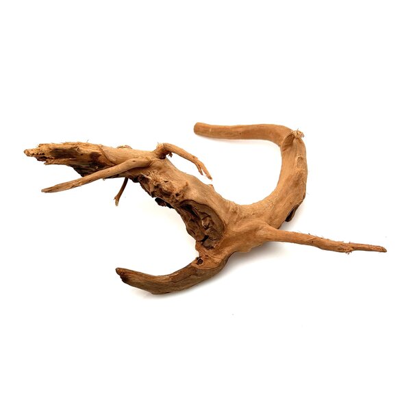 Garnelenmarkt Rote Moorwurzel klein xs #20