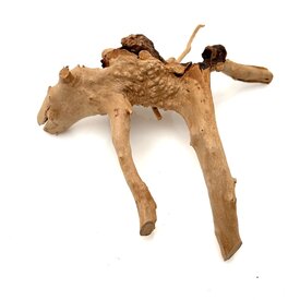 Garnelenmarkt Rote Moorwurzel klein xs #19 (ca. 10x15x20 cm)