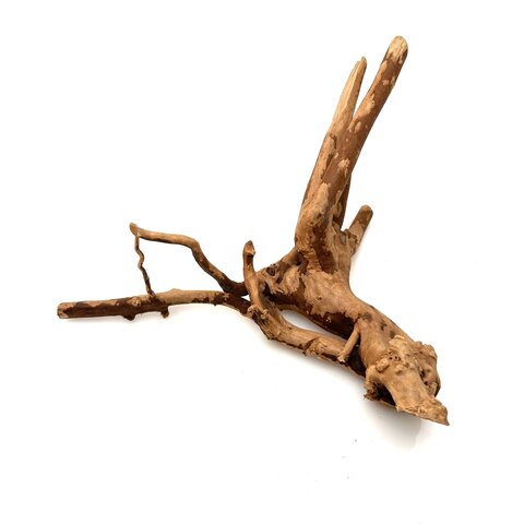 Rote Moorwurzel klein xs #18 (ca. 10x15x20 cm)