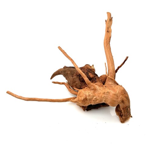 Rote Moorwurzel klein xs #16 (ca. 10x15x20 cm)