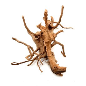 Garnelenmarkt Rote Moorwurzel klein xs #15 (ca. 10x15x20 cm)