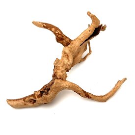 Garnelenmarkt Rote Moorwurzel klein xs #13 (ca. 10x15x20 cm)