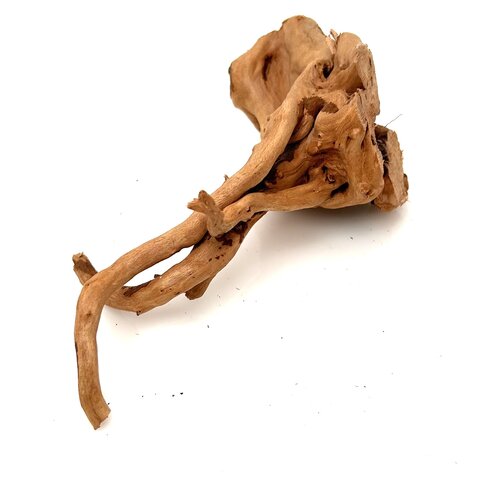 Rote Moorwurzel klein xs #2 (ca. 10x15x20 cm)