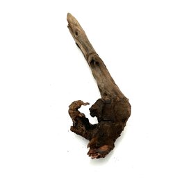 Garnelenmarkt Flusswurzel #31 (20x7x5 cm)