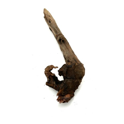 Flusswurzel #31 (20x7x5 cm)
