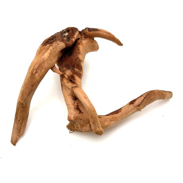 Garnelenmarkt Rote Moorwurzel klein xs #1