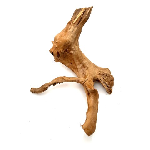 Rote Moorwurzel klein xs #3 (ca. 10x15x20 cm)