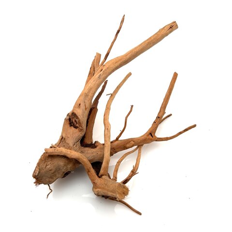 Rote Moorwurzel klein xs #5 (ca. 10x15x20 cm)