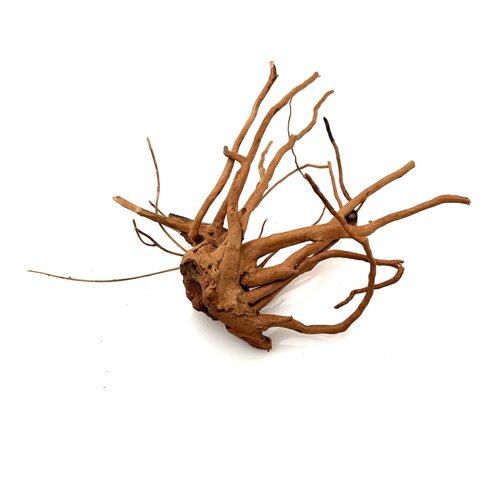 Rote Moorwurzel klein xs #6 (ca. 10x15x20 cm)