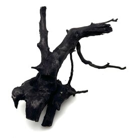 Garnelenmarkt Schwarze Moorwurzel klein xs #8