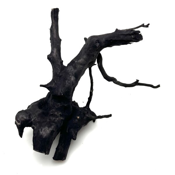 Garnelenmarkt Schwarze Moorwurzel klein xs #8