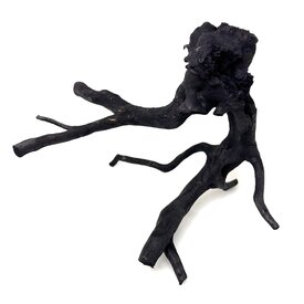 Garnelenmarkt Schwarze Moorwurzel klein xs #5