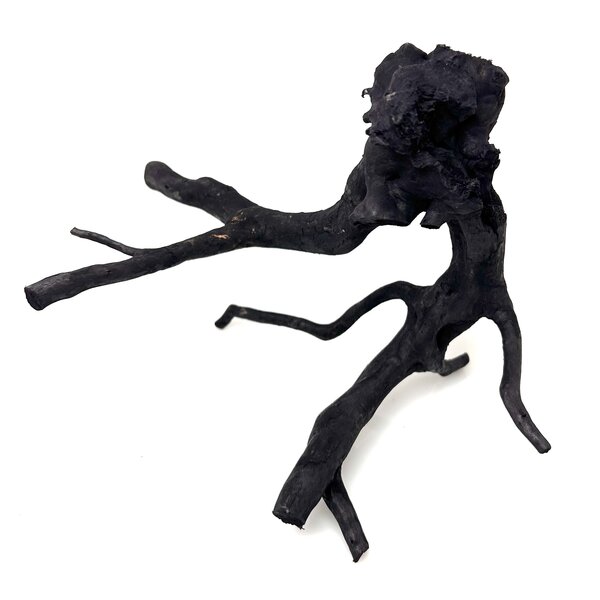 Garnelenmarkt Schwarze Moorwurzel klein xs #5