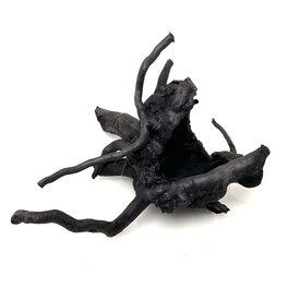 Garnelenmarkt Schwarze Moorwurzel klein xs #4