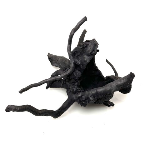 Schwarze Moorwurzel klein xs #4