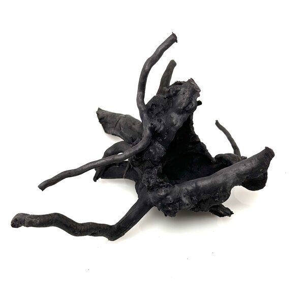 Garnelenmarkt Schwarze Moorwurzel klein xs #4