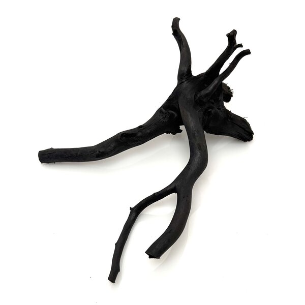 Garnelenmarkt Schwarze Moorwurzel klein xs #3