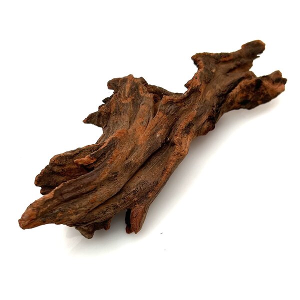 Garnelenmarkt Flusswurzel #1