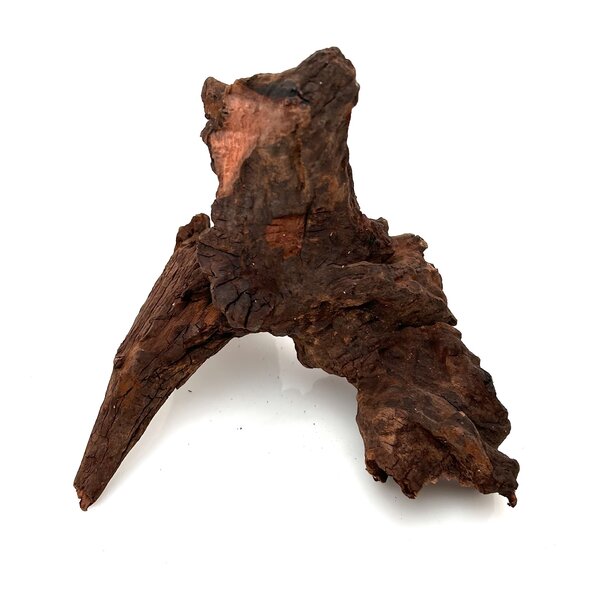 Garnelenmarkt Flusswurzel #2