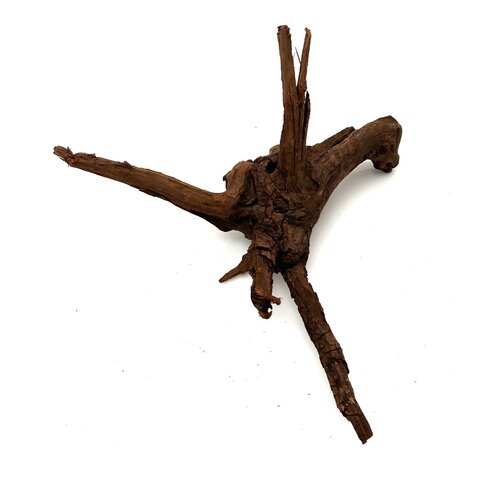 Flusswurzel #3 (17x23x22 cm)