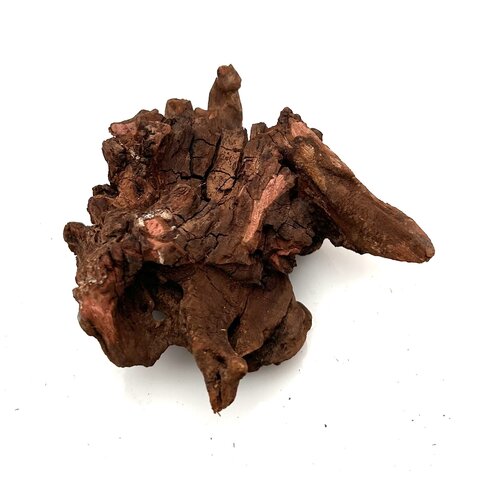 Flusswurzel #7 (10x10x7 cm)