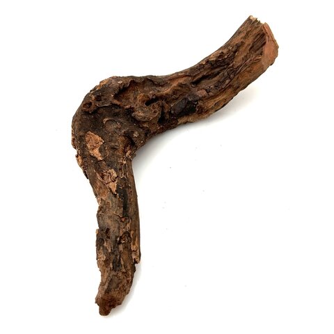 Flusswurzel #8 (22x8x6 cm)