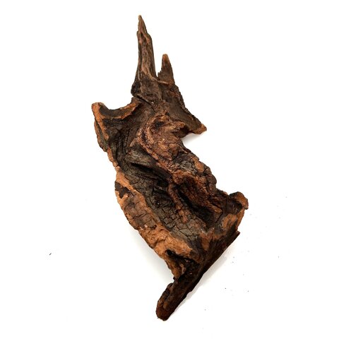 Flusswurzel #9 (22x9x6 cm)