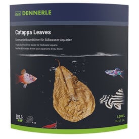 Dennerle Catappa Leaves