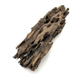 Garnelenmarkt Drachenholz #18