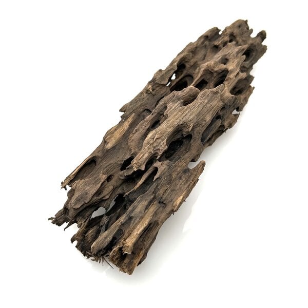 Garnelenmarkt Drachenholz #18