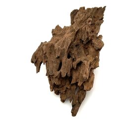 Garnelenmarkt Drachenholz #17