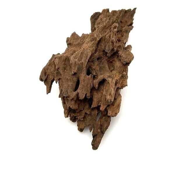 Garnelenmarkt Drachenholz #17