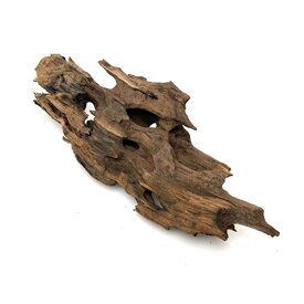 Garnelenmarkt Drachenholz #12