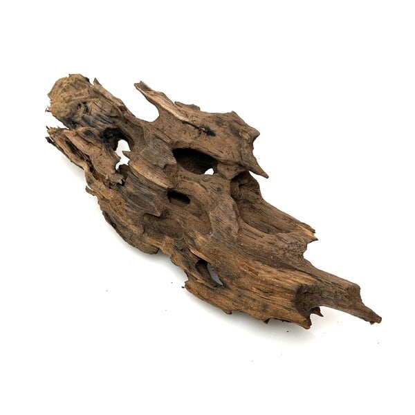 Garnelenmarkt Drachenholz #12