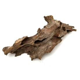 Garnelenmarkt Drachenholz #11