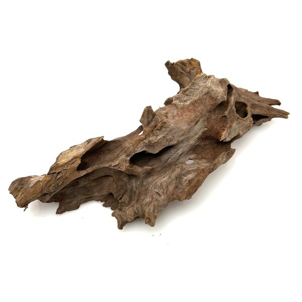 Garnelenmarkt Drachenholz #11