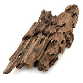 Garnelenmarkt Drachenholz #09